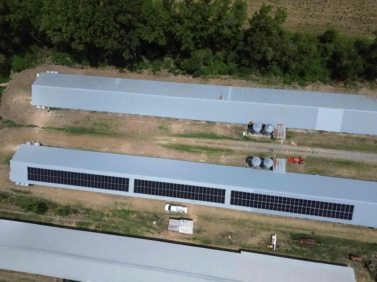 Aerial view of long agricultural buildings in Darlington South Carolina with a solar array along one roof