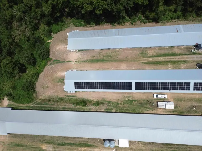 Overhead aerial of three parallel agricultural buildings with solar panels on the middle roof