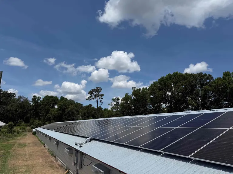 Low view along a roof-mounted solar array on a farm building with trees and blue sky behind