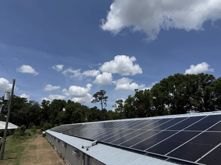 Roof-mounted solar array running away along an agricultural building, with a utility pole and transformer at the left and a wide blue sky above